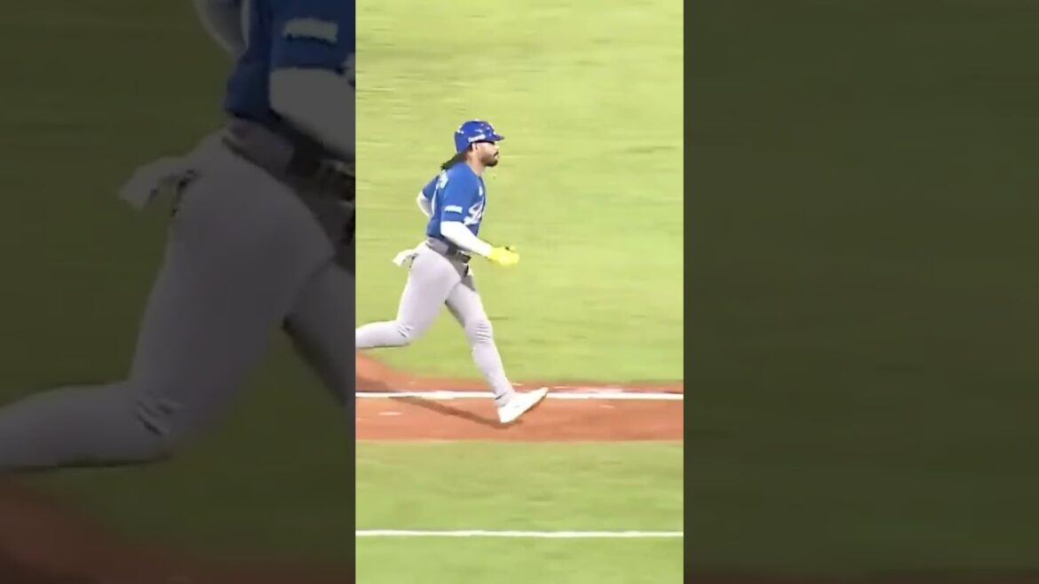 Luis Campusano trae la carrera de la victoria con jonrón #licey