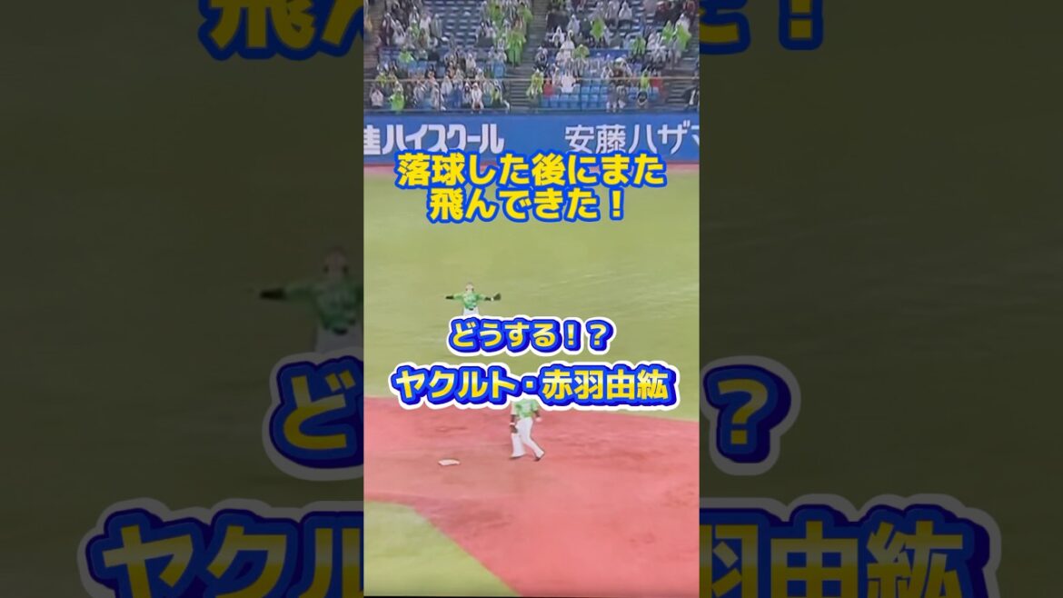 センター！頼んだ！