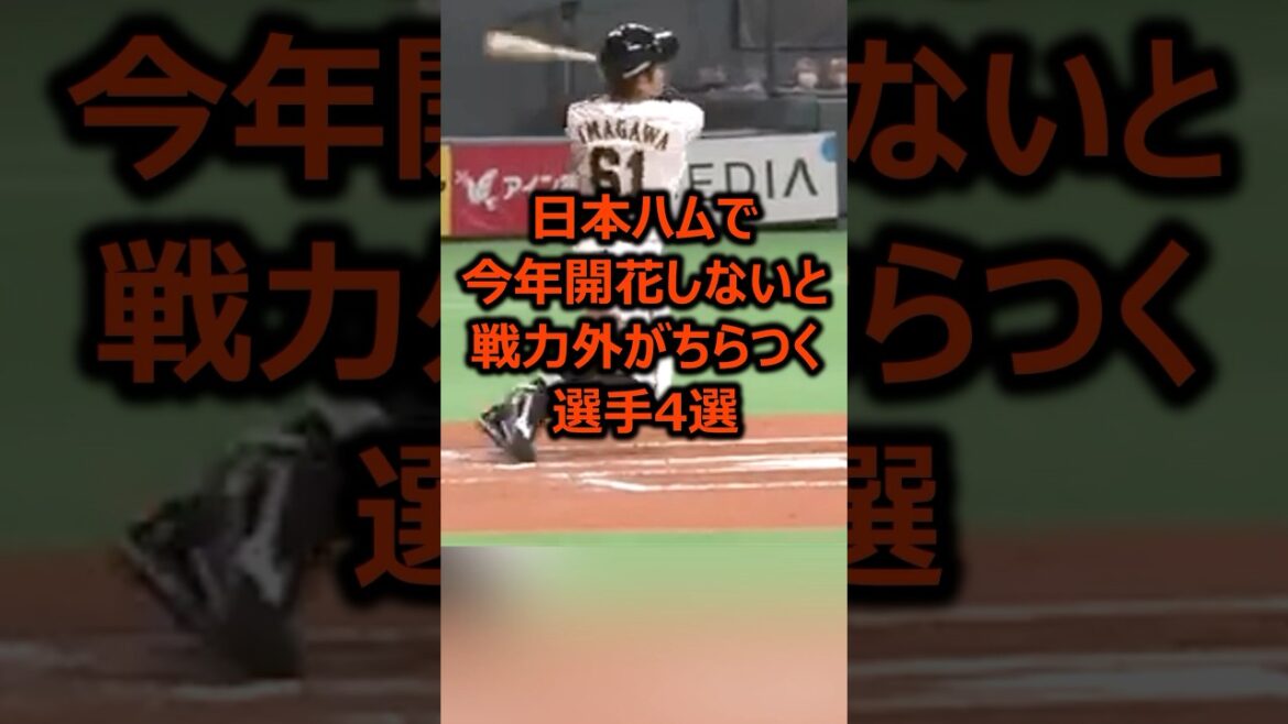 日本ハムで今年開花しないと戦力外がちらつく選手4選 #プロ野球 #野球 #北海道日本ハムファイターズ 日本ハムで今年開花しないと戦力外がちらつく選手4選 #プロ野球 #野球 #北海道日本ハムファイターズ