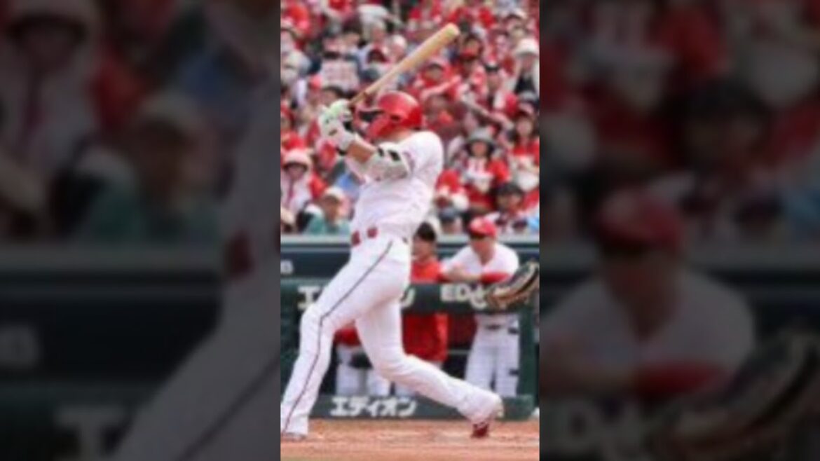 #中村奨成 #広島カープ #プロ野球 #本塁打 #覚醒 #カープ速報 #戸郷翔征 #マツダスタジアム #カープファン #NPB #プロ野球 #野球 #野球 #baseball #プロ野球 #大成高校