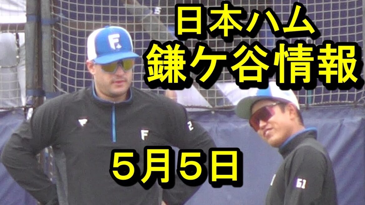 日本ハム鎌ケ谷情報、マルちゃんも元気に練習2025.5.5