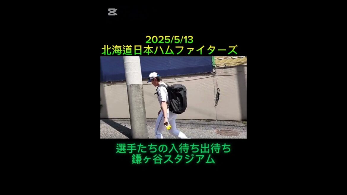 ①鎌ヶ谷スタジアム 日本ハム選手たちの入待ち出待ち #日本ハム #ファイターズ #プロ野球