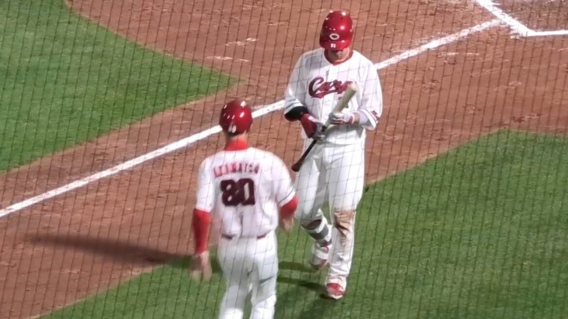 【絶妙な間合い】延長12回、緊迫した場面で坂倉将吾が直接赤松コーチにサインを確認！見事送りバントを決めてカープナインとハイタッチ！広島東洋カープvs読売ジャイアンツ 2025年5月13日