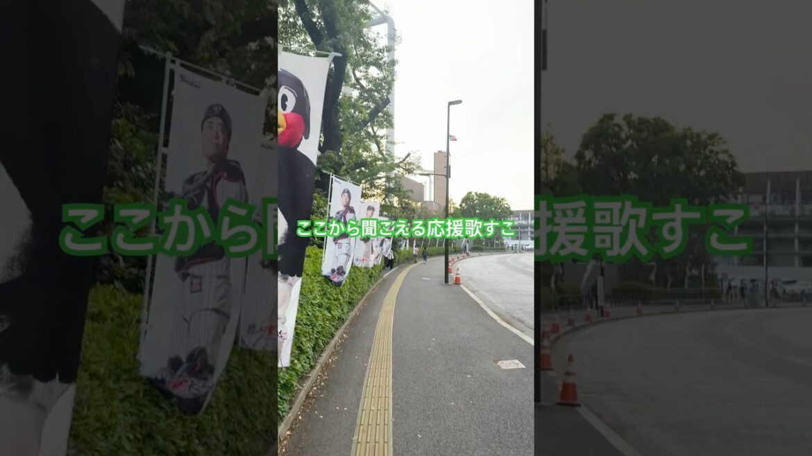 神宮球場の外から聞こえてくる武岡の応援歌 #ヤクルト #武岡龍世