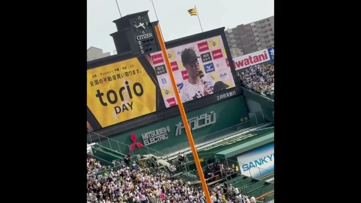 【好きな海の生き物は?】キッズTORACOの質問に答える森下 佐藤 村上 森下は食べ物で解答 【好きな海の生き物は?】キッズTORACOの質問に答える森下 佐藤 村上 森下は食べ物で解答