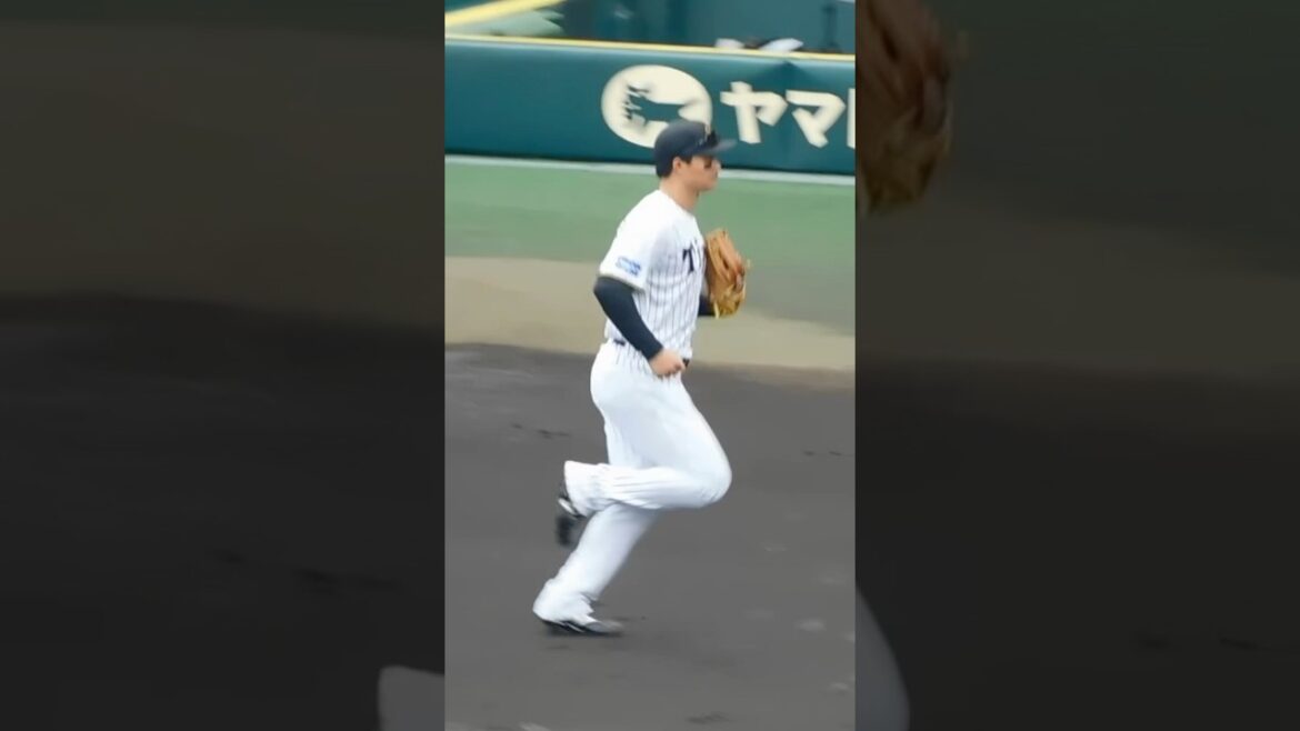 【必殺レーザービームで先制阻止】森下翔太を迎える阪神ナイン 【必殺レーザービームで先制阻止】森下翔太を迎える阪神ナイン