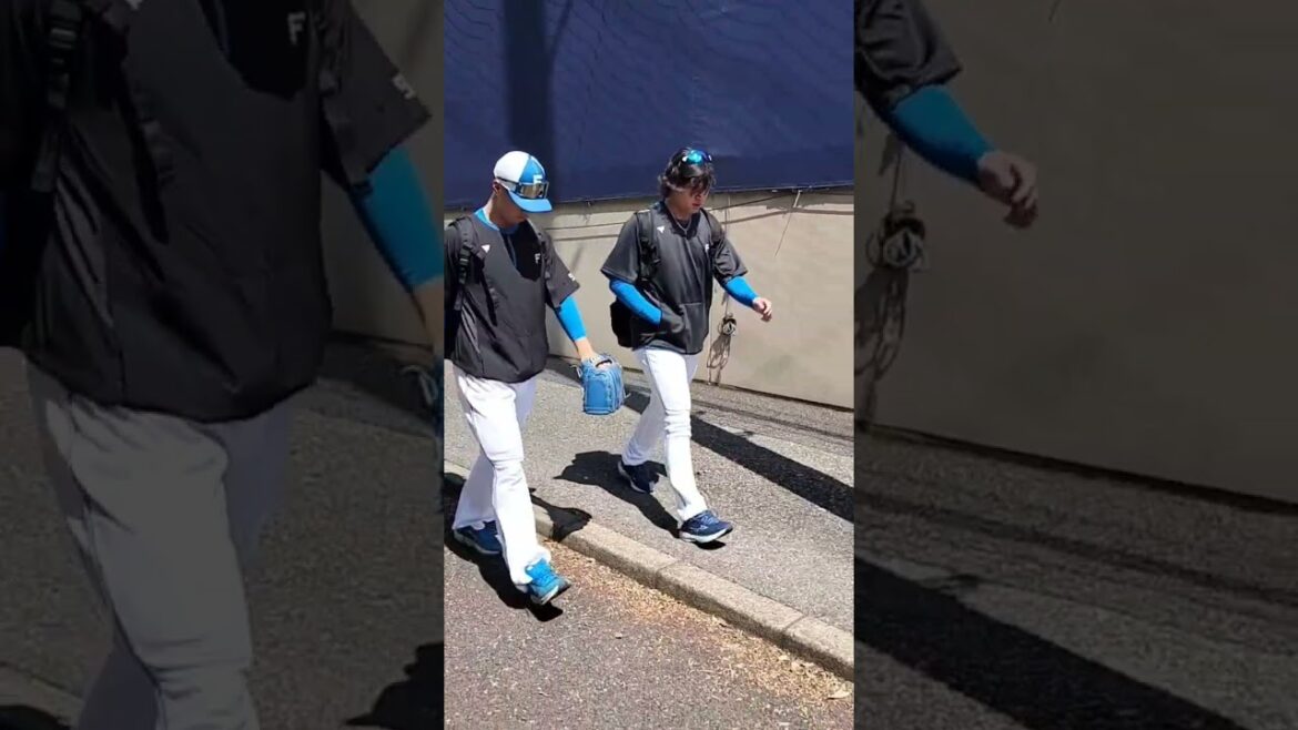 【FIGHTERS】 #堀瑞輝 投手34　#松岡洸希 投手 93 #shorts #日本ハム #ファイターズ #プロ野球