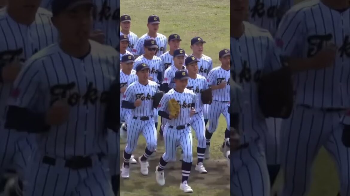 東海大菅生　試合前ランニング　#高校野球 #野球 #東海大菅生 #甲子園 #ランニング #高校生