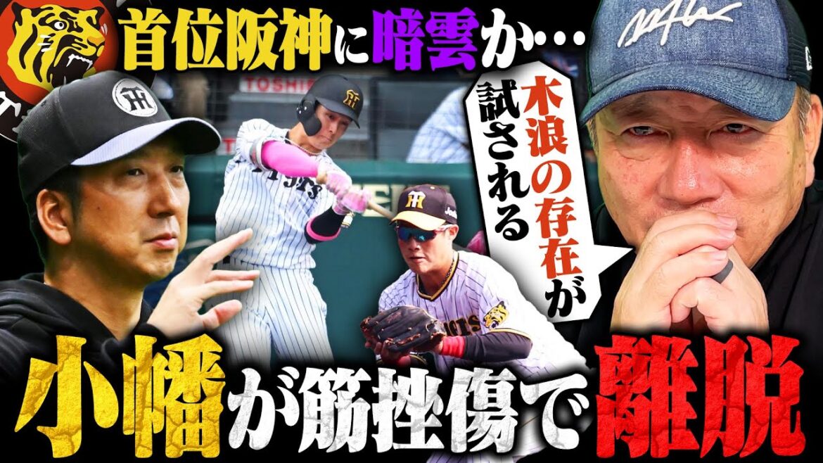 【阪神】小幡竜平が"左下肢の軽度筋挫傷"で登録抹消…藤川監督は誰を起用する⁉︎ここで木浪の真価が問われる‼︎小幡の離脱で高木豊が感じた事とは…