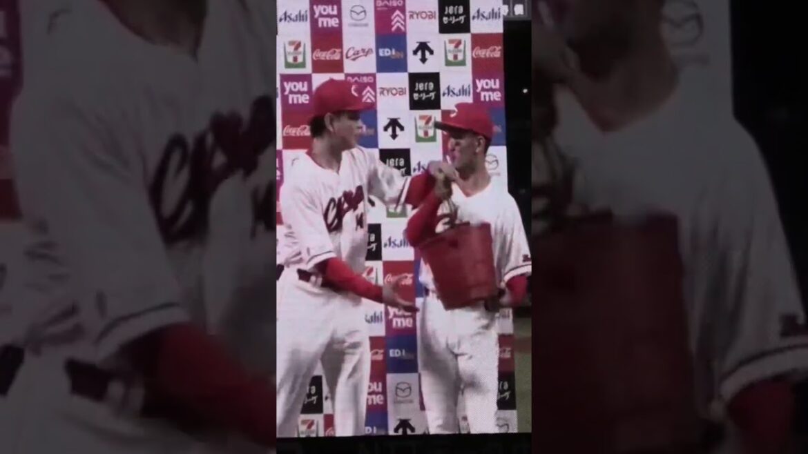 矢野雅哉、ヒーローインタビュー後に水浴びる！広島東洋カープvs読売ジャイアンツ #shorts 2025年5月14日