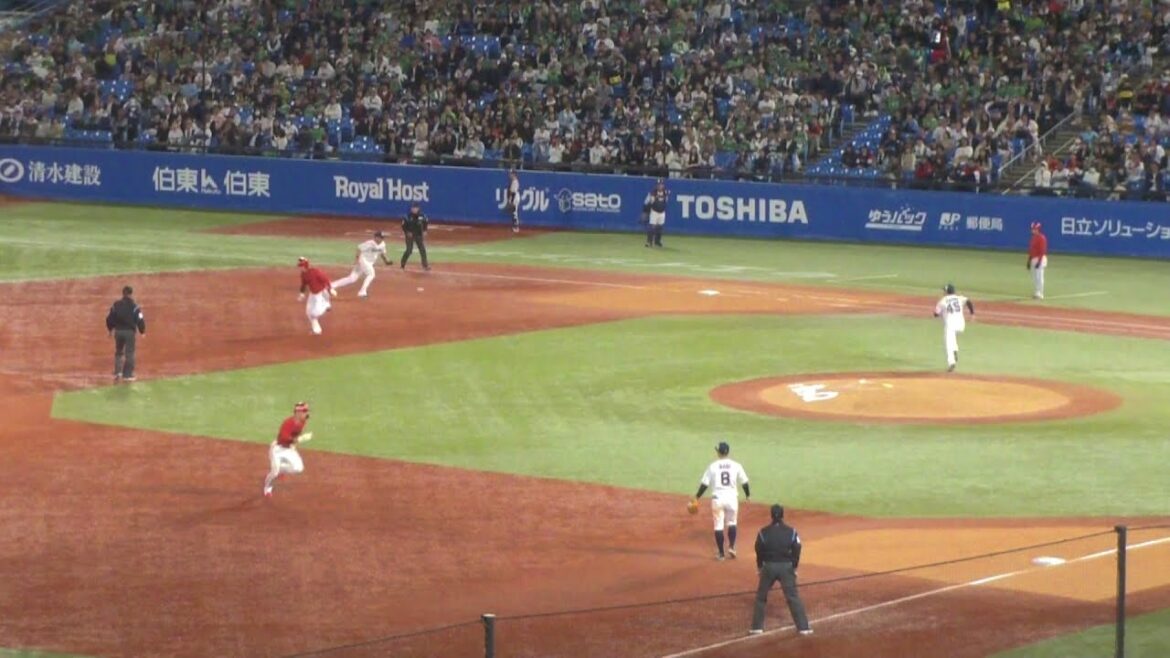 広島 野間峻祥 タイムリー内野安打　ヤクルト vs 広島　2025年5月7日(水) 神宮球場