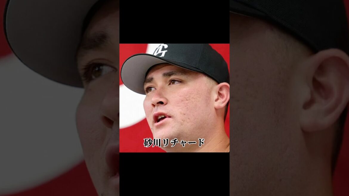 リチャードのプロ野球人生 リチャードのプロ野球人生