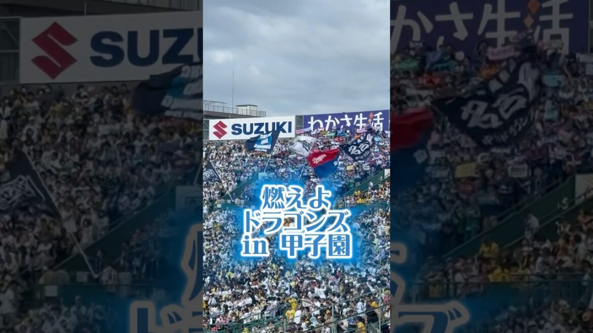 燃えよドラゴンズ25/5/10甲子園 #中日 #中日ドラゴンズ #ドラゴンズ #ドラゴンズファン #dragons #燃えよドラゴンズ #プロ野球 #甲子園 #野球 #応援歌 #球団歌 #中日ファン