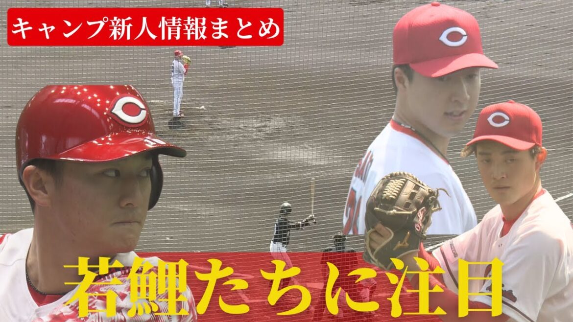 【カープ新人情報】日南から沖縄までの新人選手の動きを振り返り🔥 【カープ新人情報】日南から沖縄までの新人選手の動きを振り返り🔥