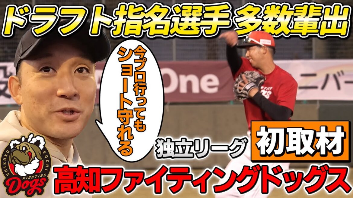 【初取材】プロ注目の独立リーグ「高知ファイティングドッグス」に独占取材!杉谷も驚く逸材発見! 【初取材】プロ注目の独立リーグ「高知ファイティングドッグス」に独占取材!杉谷も驚く逸材発見!