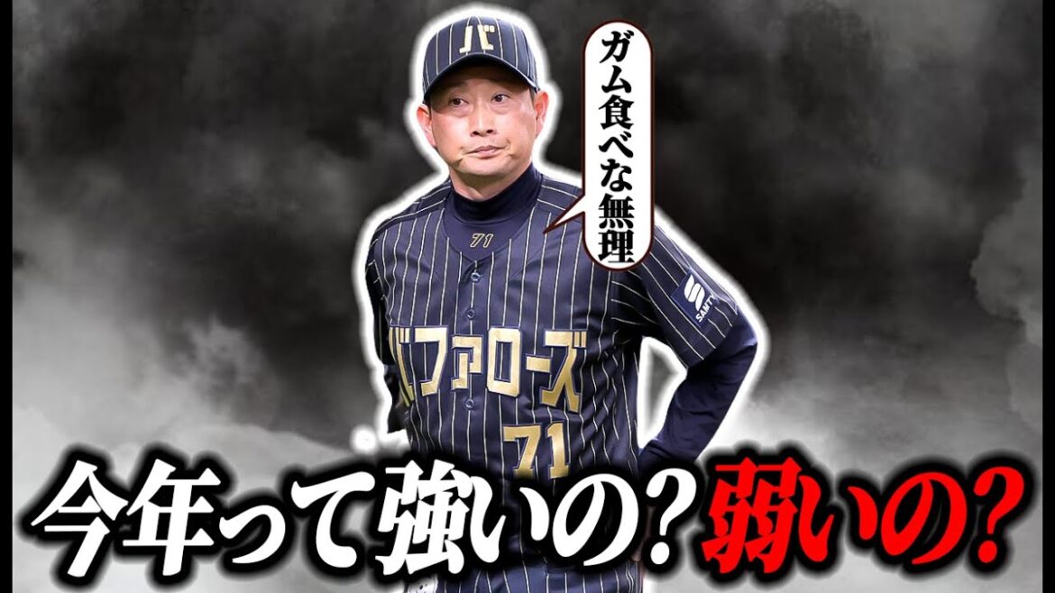 今年って強いの?弱いの?【オリックス】 今年って強いの?弱いの?【オリックス】