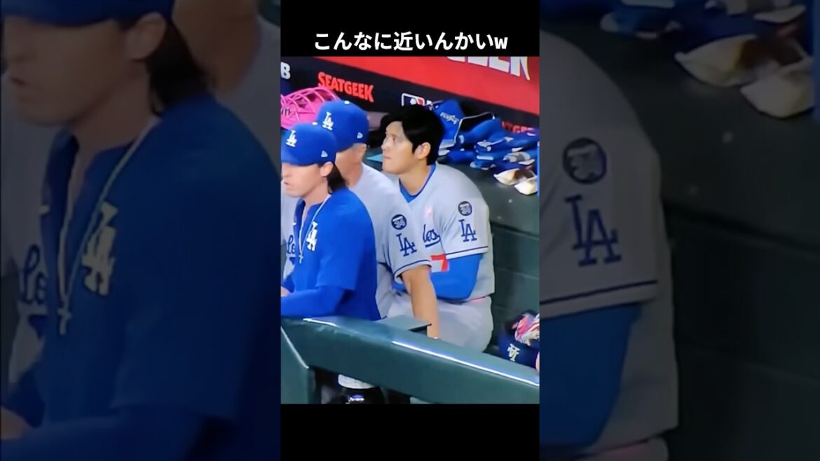 こんなに近いんかいww #大谷翔平 #mlb  #shorts  #dodgers #ドジャース #野球 #ohtani #baseball