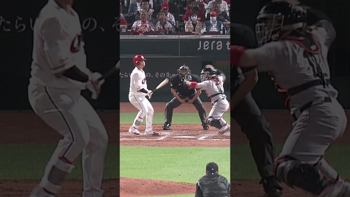 【鯉のスピードスター】羽月隆太郎🔥甲斐キャノンから2塁奪う! #カープ #shorts 【鯉のスピードスター】羽月隆太郎🔥甲斐キャノンから2塁奪う! #カープ #shorts