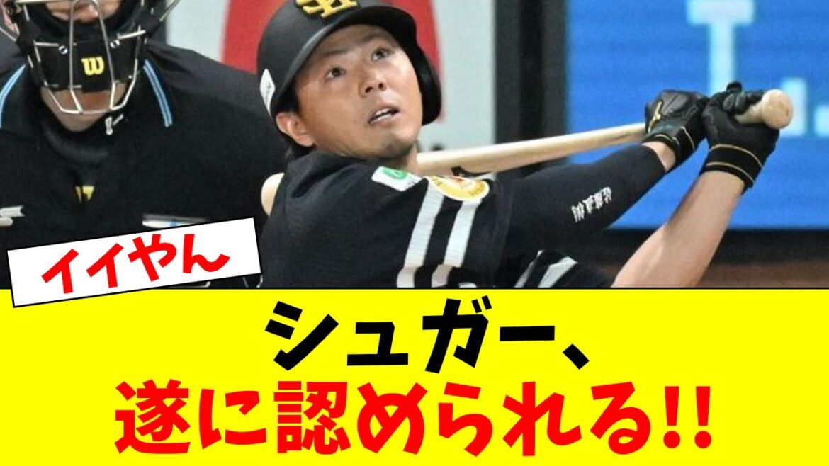【遂に】佐藤直樹、絶賛される!!【なんJ反応】【プロ野球反応集】 【遂に】佐藤直樹、絶賛される!!【なんJ反応】【プロ野球反応集】