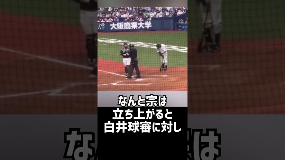 【激レア映像】あの「白井球審」が自分の判定を覆す！！！