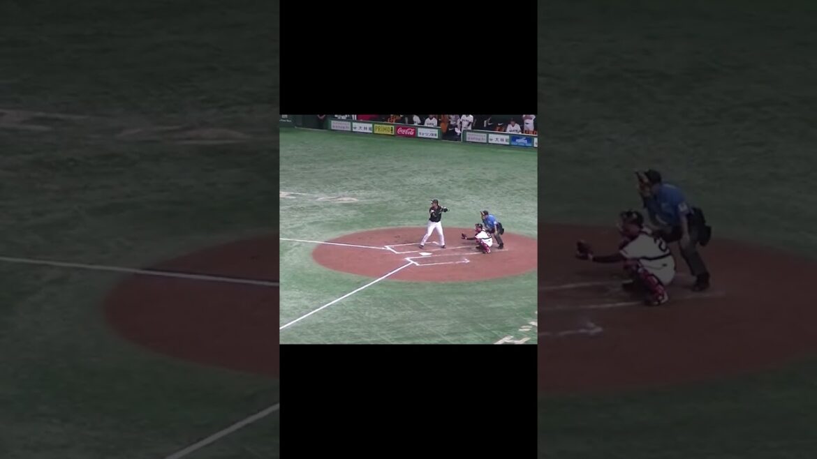 船迫大雅からヒットを放つ柳町達（2024年5月28日 読売ジャイアンツ対 福岡ソフトバンクホークス）