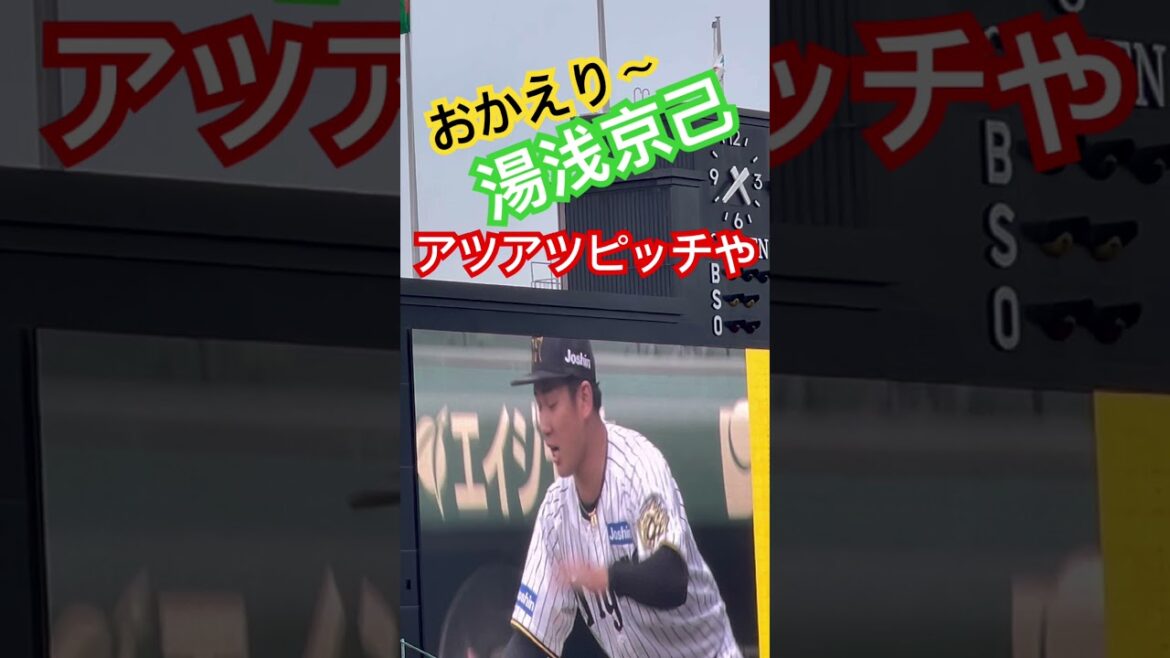 #tigers  #湯浅京己 #阪神タイガース #阪神甲子園球場 #hanshintigers #阪神 #甲子園 #阪神応援 #野球 #hanshin #阪神湯浅