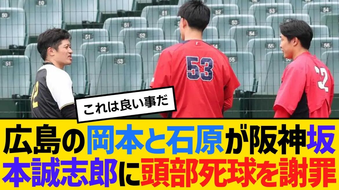 広島の岡本駿と石原貴規が、阪神坂本誠志郎に頭部死球を謝罪　【ネットの反応】【反応集】