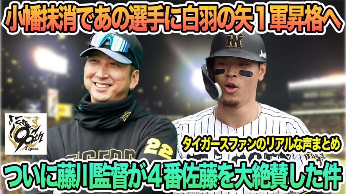 【1軍昇格】小幡抹消であの選手に白羽の矢1軍昇格へ、ついに藤川監督が4番佐藤を大絶賛した件 阪神タイガース 阪神 藤川監督 藤川監督一問一答 【1軍昇格】小幡抹消であの選手に白羽の矢1軍昇格へ、ついに藤川監督が4番佐藤を大絶賛した件 阪神タイガース 阪神 藤川監督 藤川監督一問一答