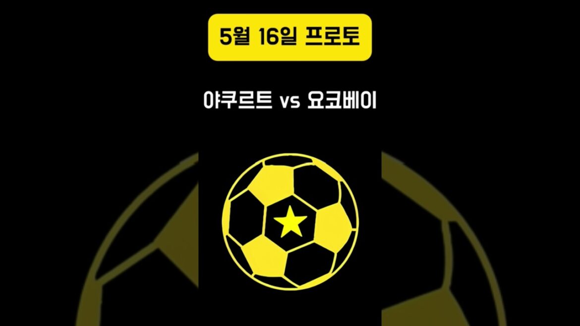 야쿠르트 vs 요코베이 #스포츠토토 #베트맨토토 야쿠르트 vs 요코베이 #스포츠토토 #베트맨토토