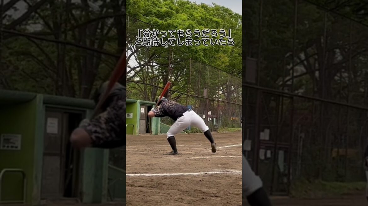 理想を掲げて努力をするとき。 #shorts #baseball #野球 #batting #バッティング #野球のミカタ #打撃探究部屋