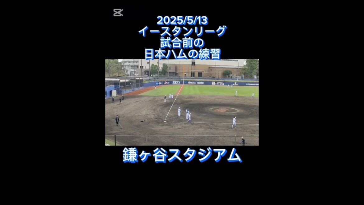 ①【FIGHTERS】 鎌ヶ谷スタジアムで試合前に練習をするファイターズ選手 #shorts #プロ野球 #日本ハム #ファイターズ