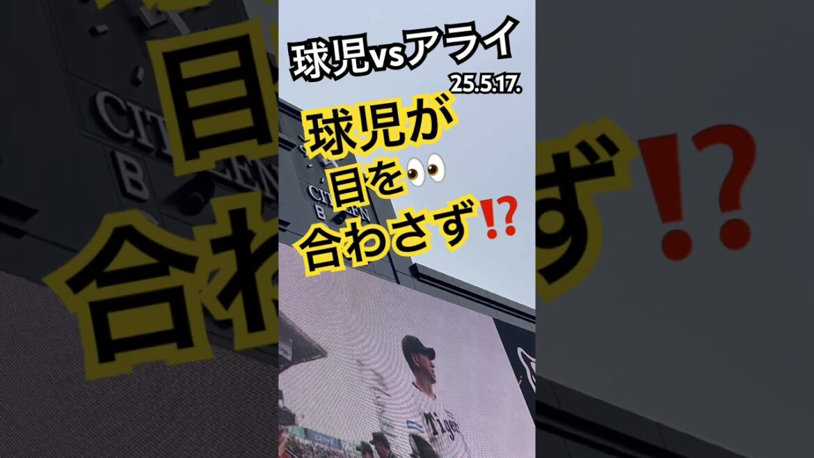 #藤川球児 #新井貴浩 #阪神タイガース #広島東洋カープ #阪神甲子園球場 #hanshintigers #carp #甲子園 #メンバー表交換 #阪神 #広島 #野球