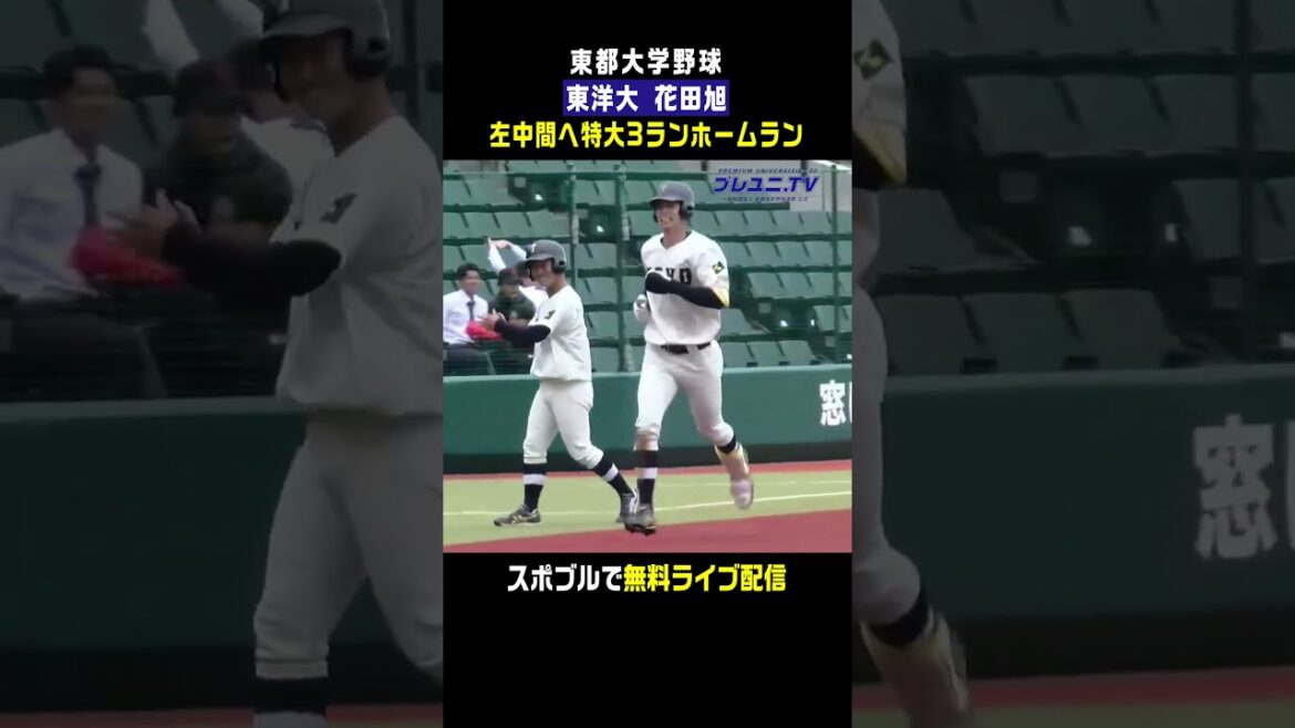 【右の長距離砲】ネクスト平田良介!? 花田旭が特大ホームラン!!⚾️ #東都大学野球  #花田旭  #大阪桐蔭