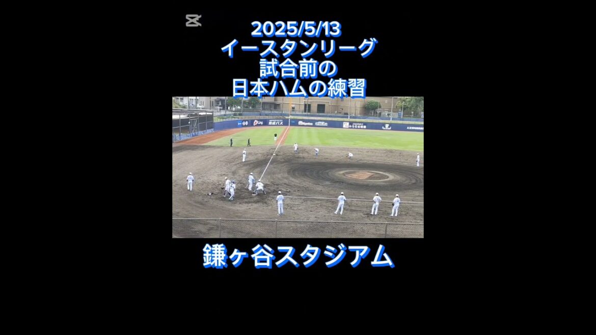 ②【FIGHTERS】鎌ヶ谷スタジアムで試合前に練習をするファイターズ選手 #shorts #プロ野球 #日本ハム #ファイターズ