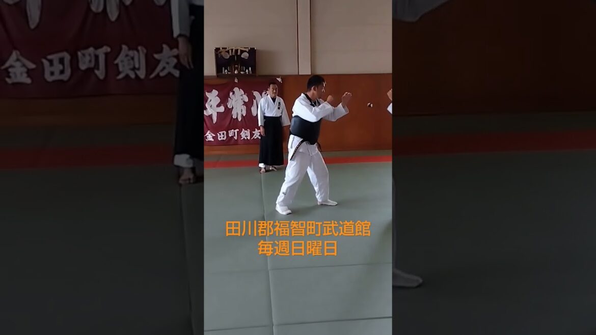 #第９回風門祭日本拳法道錬成大会　新種目形競技之部　自由形　福山四段·川上二段　壮年部や女子部のために実験的に導入。来年度からは、本格実施。 #日本拳法道 #大人のための護身教室 #防具式MMA