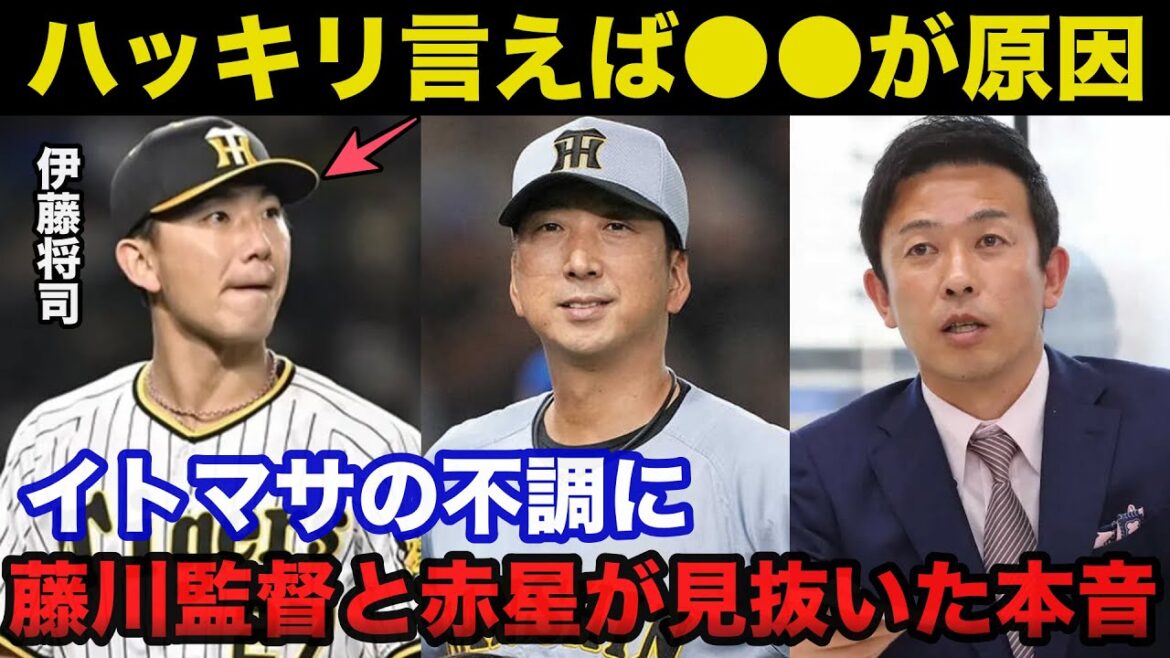 阪神.伊藤将司が復調しない理由に赤星憲広と藤川監督が見抜いたある本音が的確すぎると話題に【阪神タイガース/プロ野球】 阪神.伊藤将司が復調しない理由に赤星憲広と藤川監督が見抜いたある本音が的確すぎると話題に【阪神タイガース/プロ野球】