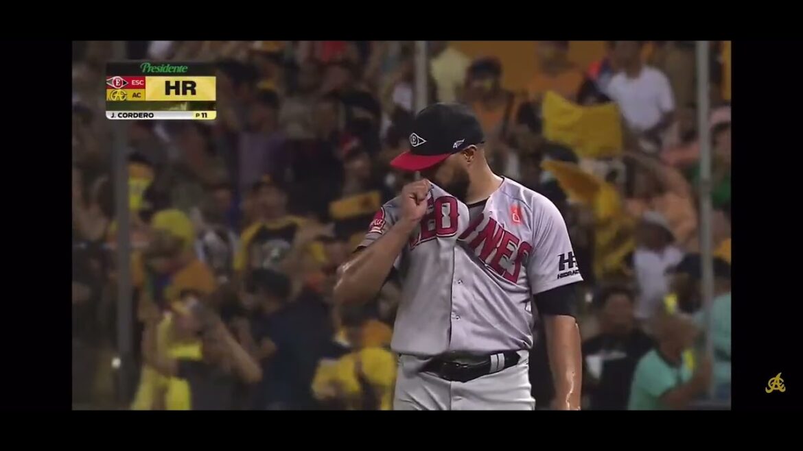 que palo de ADERLiN Rodríguez