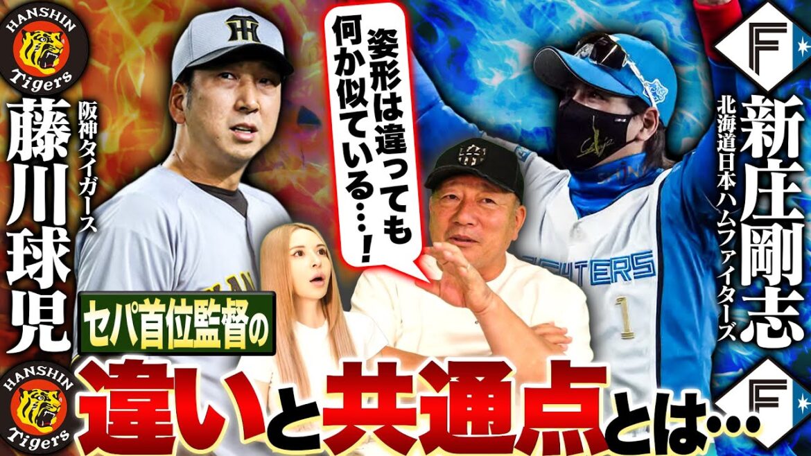 【徹底考察】藤川球児×新庄剛志！セパ首位監督の「決定的な違い」とは？他球団の監督と何が違うのか？徹底比較＆考察！