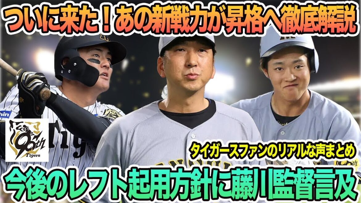 今後の左翼起用方針に藤川監督言及、遂にあの新戦力が昇格へ徹底解説  阪神タイガース　阪神　藤川監督　藤川監督一問一答