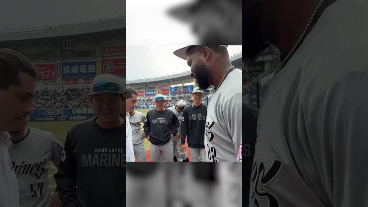 ポランコ選手の第一声に注目！ #chibalotte