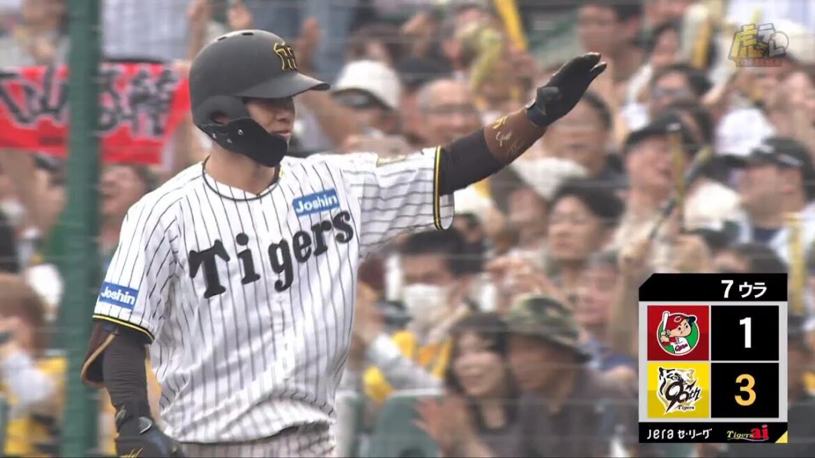 【3点目】7回裏 #中野拓夢 選手のセカンドタイムリー内野安打で大きな追加点！【2025/5/18Ｔ－Ｃ】