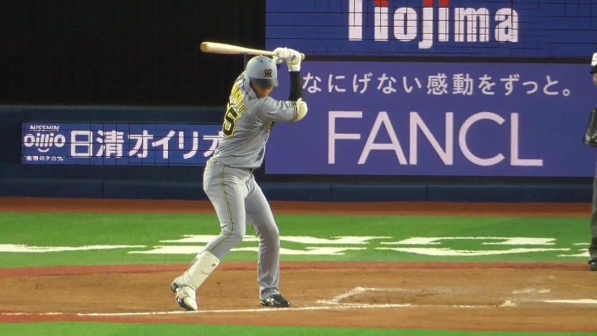 2025年5月15日 阪神・楠本 泰史 選手の打席入り（ボールデッド中）