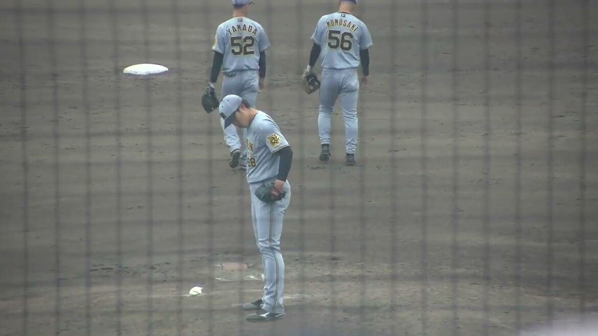 阪神タイガース ベタンセス投手が降板 → 佐藤蓮投手 投球練習 2025/5/16 ナゴヤ球場