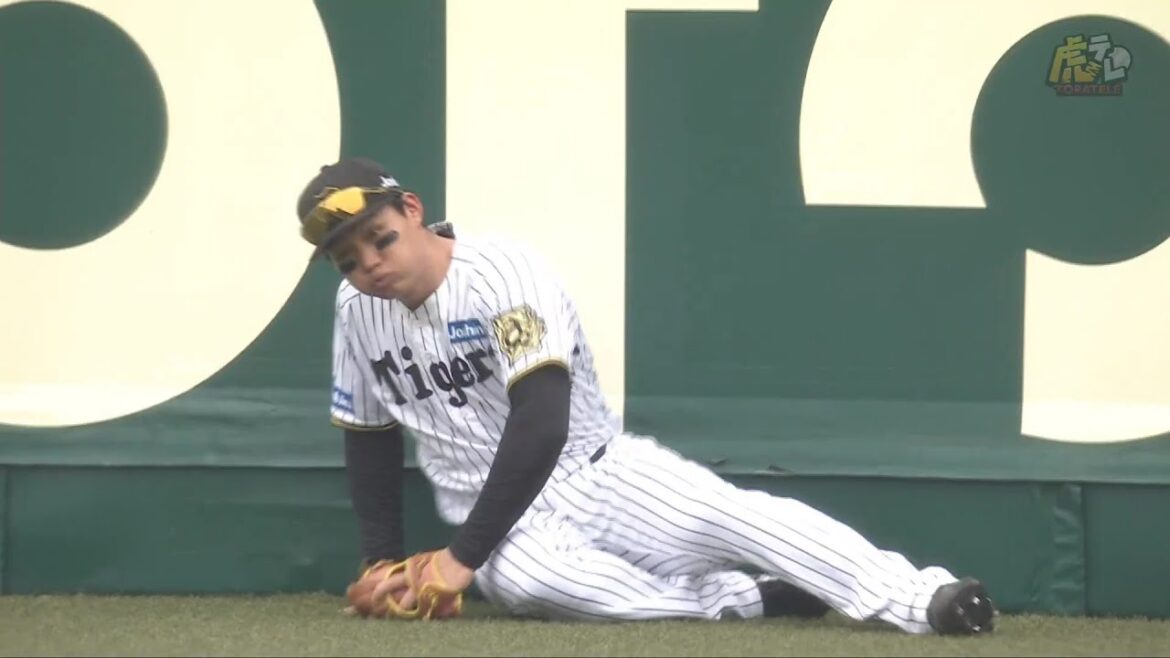 【好捕】4回表 #森下翔太 選手がライトへの大飛球をフェンスに激突しながらも好捕！【2025/5/18Ｔ－Ｃ】