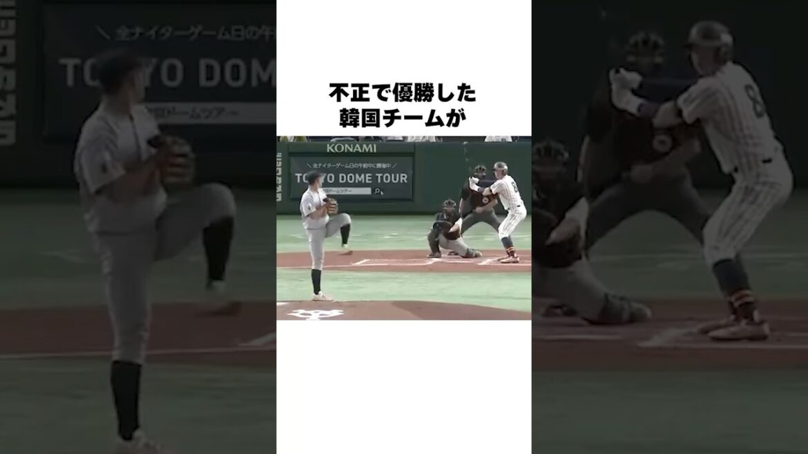 「野球大会で韓国が優勝した結果」韓国の野球についての雑学#野球#野球雑学
