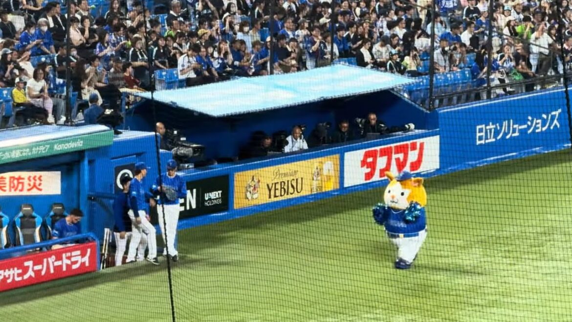 ベイ神宮ラッキー7 DB.スターマン ディアーナ横浜DeNAベイスターズ2025年5月18日東京ヤクルトスワローズ