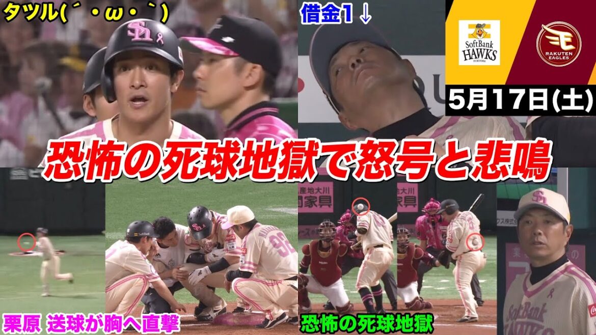 今日のタツル、嶺井さん頭部への死球は危険球で投手退場…恐怖の死球地獄でホークス主力連続狙撃…ピンクフルデーが怒号と悲鳴の激闘WWWWWWWWWWW