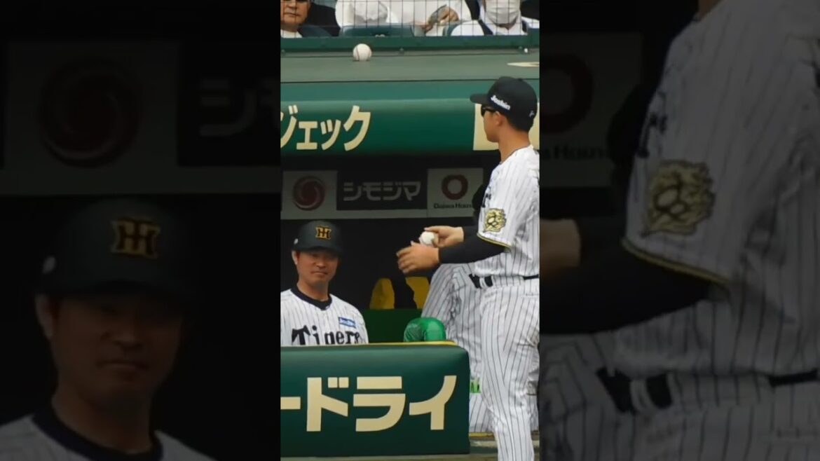 【完全復活】1点差の7回をピシャリと抑えベンチに引き上げる湯浅京己