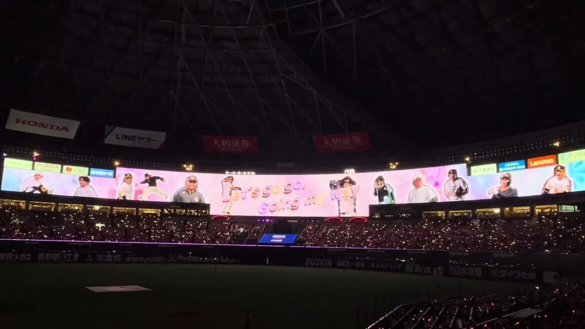 ピンクフルデー花火セレモニー(2025/05/17 福岡ソフトバンクホークスvs東北楽天ゴールデンイーグルス)