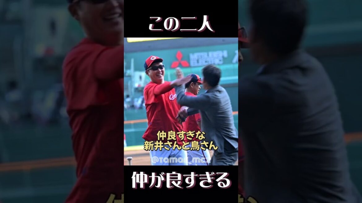 仲が良すぎる新井貴浩と鳥谷敬 #プロ野球